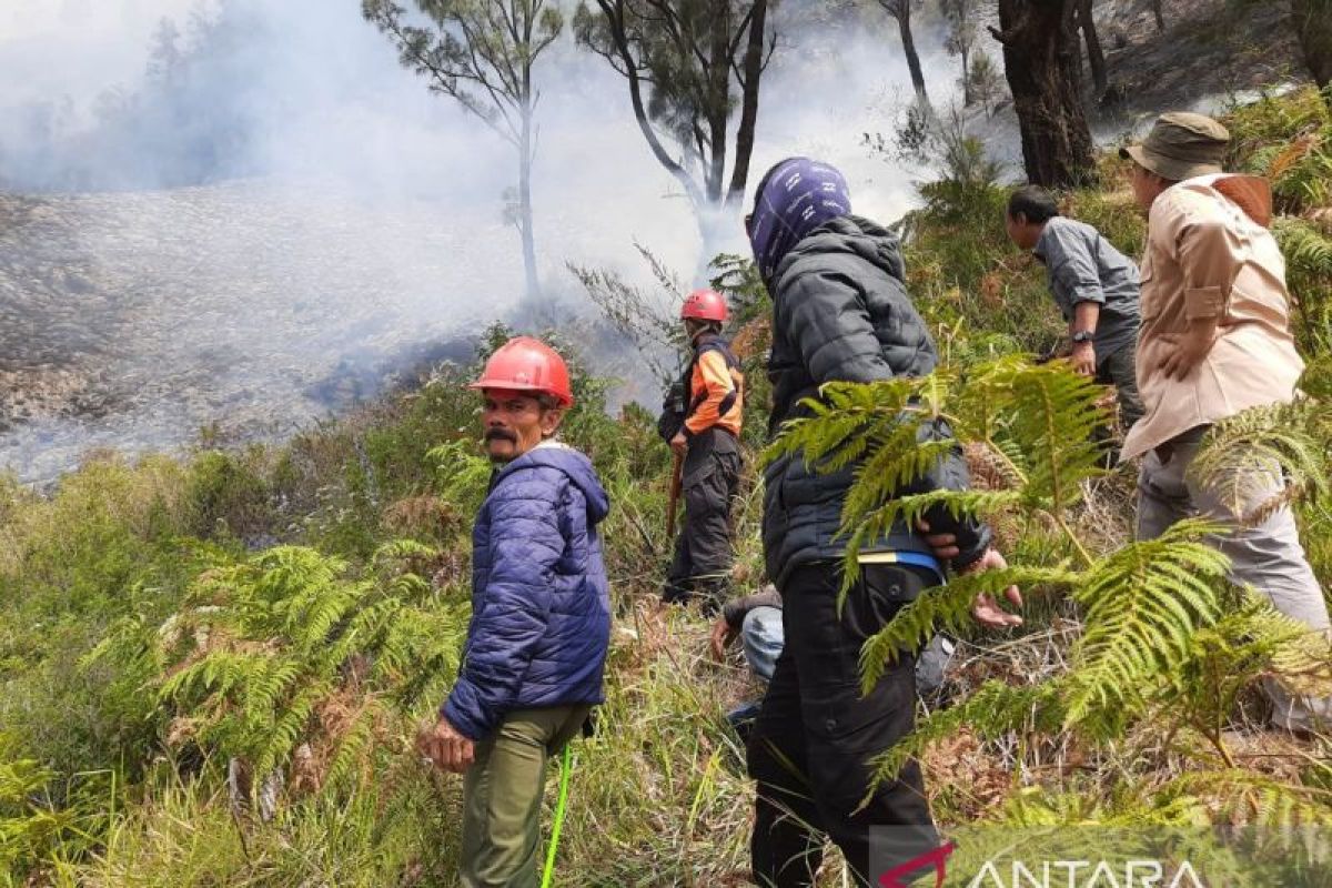 Gunung Bromo Rentan Kebakaran Hutan, Diimbau Waspada